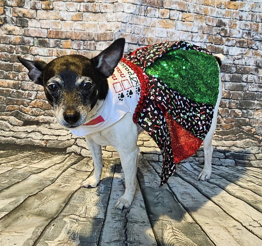 Naughty or Nice embroidered pet dress, naughty or nice cat dress, naughty or nice dog dress