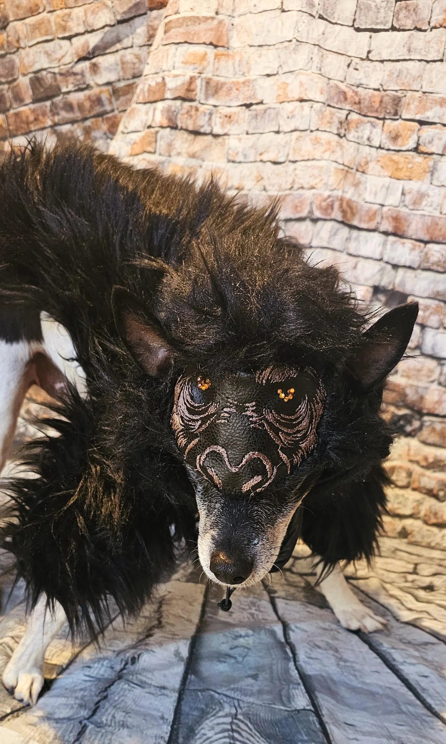 - King Kong pet costume, King kong dog costume, king kong cat costume, gorilla pet costume, gorilla dog costume, gorilla cat costume