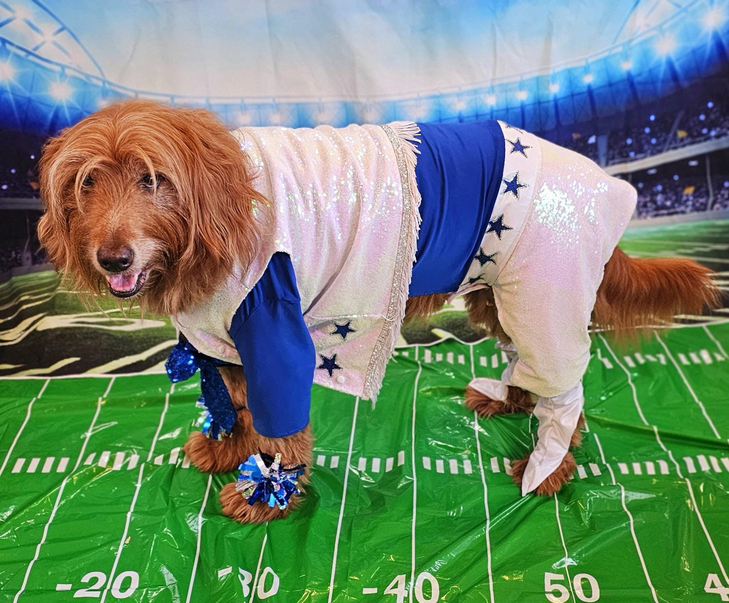 - Pet glitter Cheerleader, Cowboy dog cheerleader, cowboy cat cheerleader