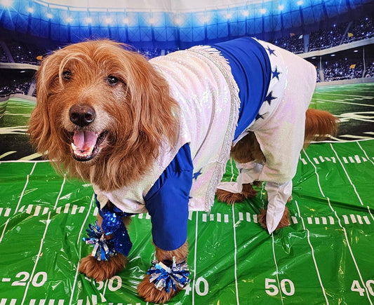 - Pet glitter Cheerleader, Cowboy dog cheerleader, cowboy cat cheerleader
