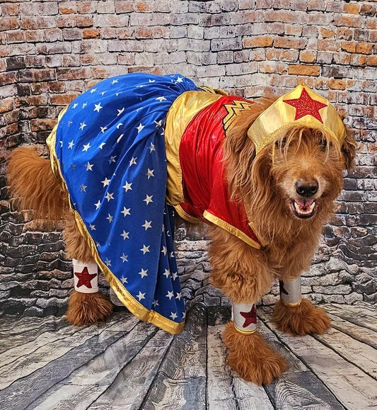 - Wonder Women glitter pet costume, Wonder Women dog costume, super hero pet costume, super hero dog costume, Wonder women cat costume, Halloween pet