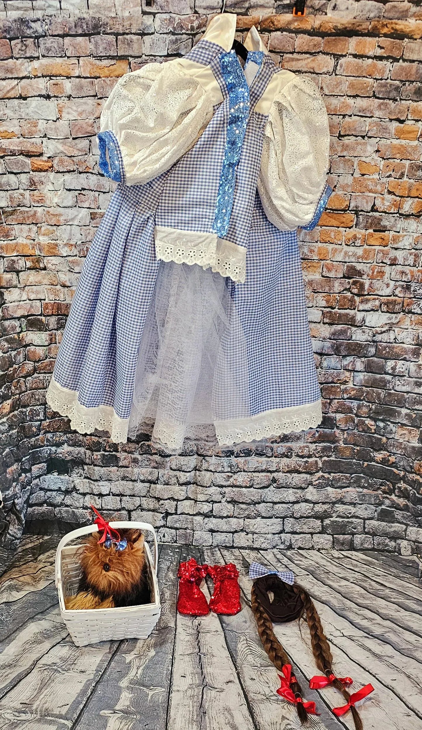 - Dorothy/Toto pet costume, Dorothy/Toto dog costume, Dorothy pet costume, Dorothy, Toto cat costume, pet Dorothy wig, toto and Dorothy pet