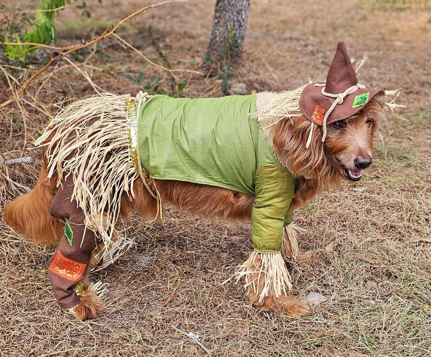 - Scarecrow pet costume, Scarecrow dog costume, Scarecrow cat costume