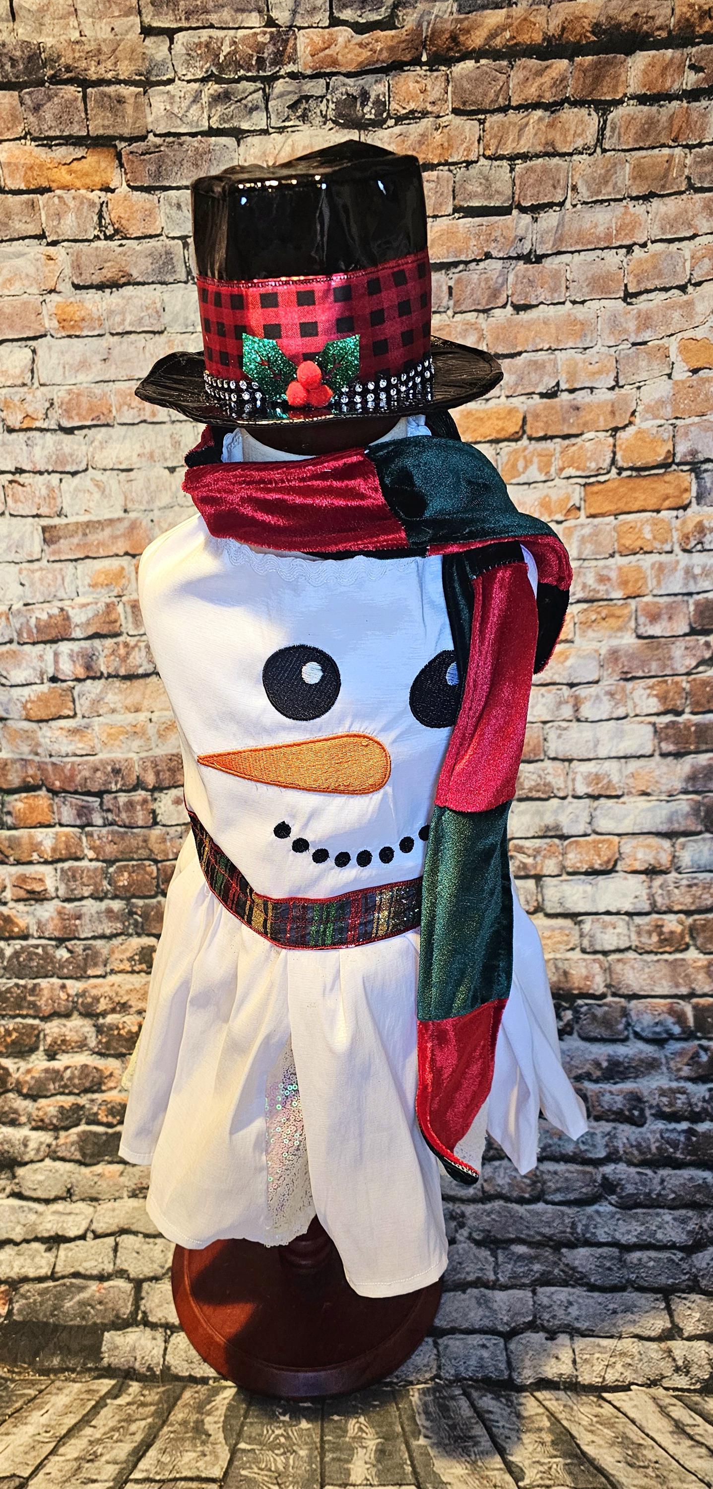 Snowman pet costume, Frosty the snowman pet costume, snowman dog costume, snowman cat costume, frosty pet costume, Christmas pet costume