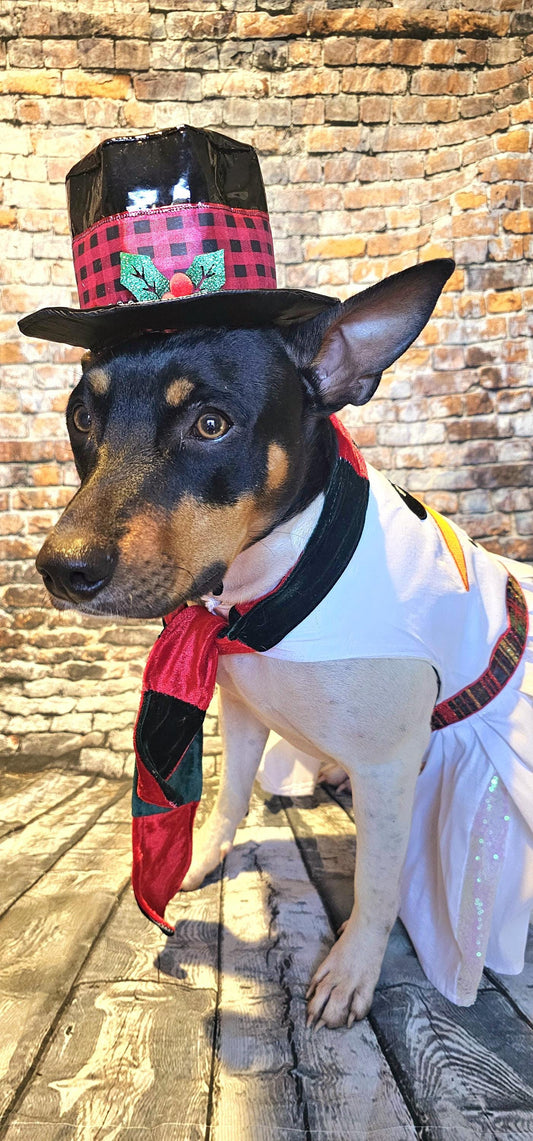 Snowman pet costume, Frosty the snowman pet costume, snowman dog costume, snowman cat costume, frosty pet costume, Christmas pet costume