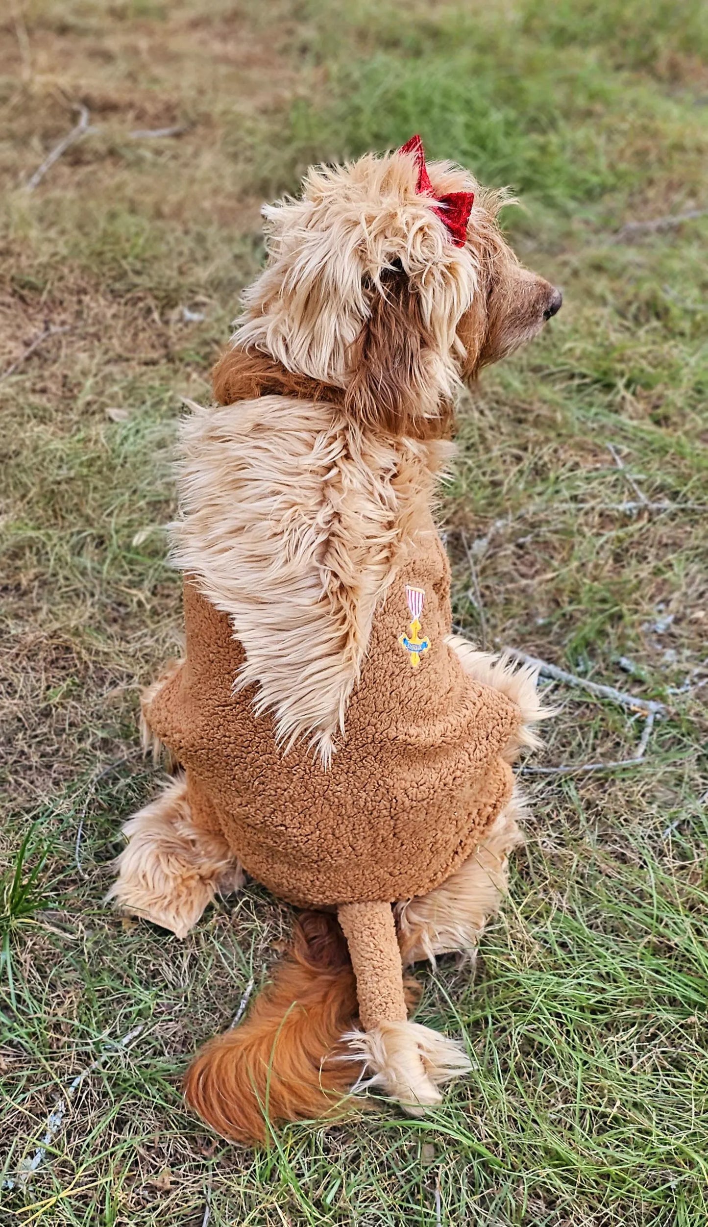 - Cowardly lion pet costume, Cowardly Lion dog costume, Cowardly Lion cat costume, Lion pet costume, Lion dog costume, pet Lion costume