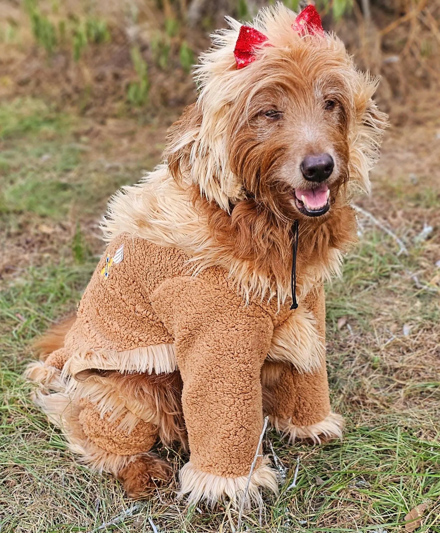 - Cowardly lion pet costume, Cowardly Lion dog costume, Cowardly Lion cat costume, Lion pet costume, Lion dog costume, pet Lion costume