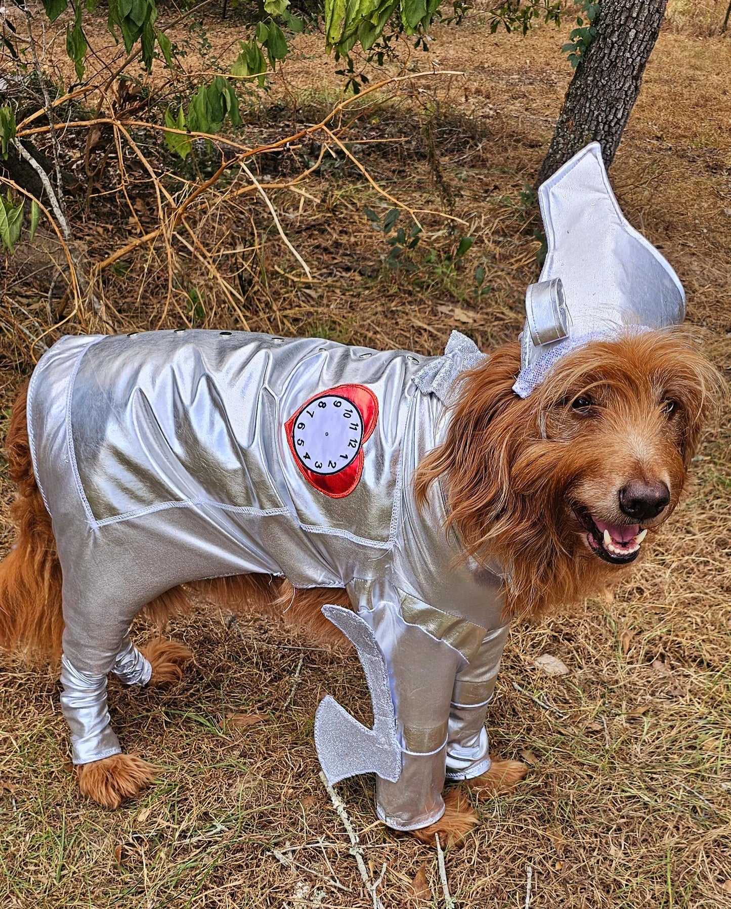 - Tin man pet costume, Tin man dog costume, Tin man cat costume, pet Tin man costume, dog Tin man costume, Tin Man costume for dogs