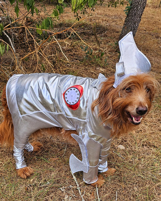 - Tin man pet costume, Tin man dog costume, Tin man cat costume, pet Tin man costume, dog Tin man costume, Tin Man costume for dogs