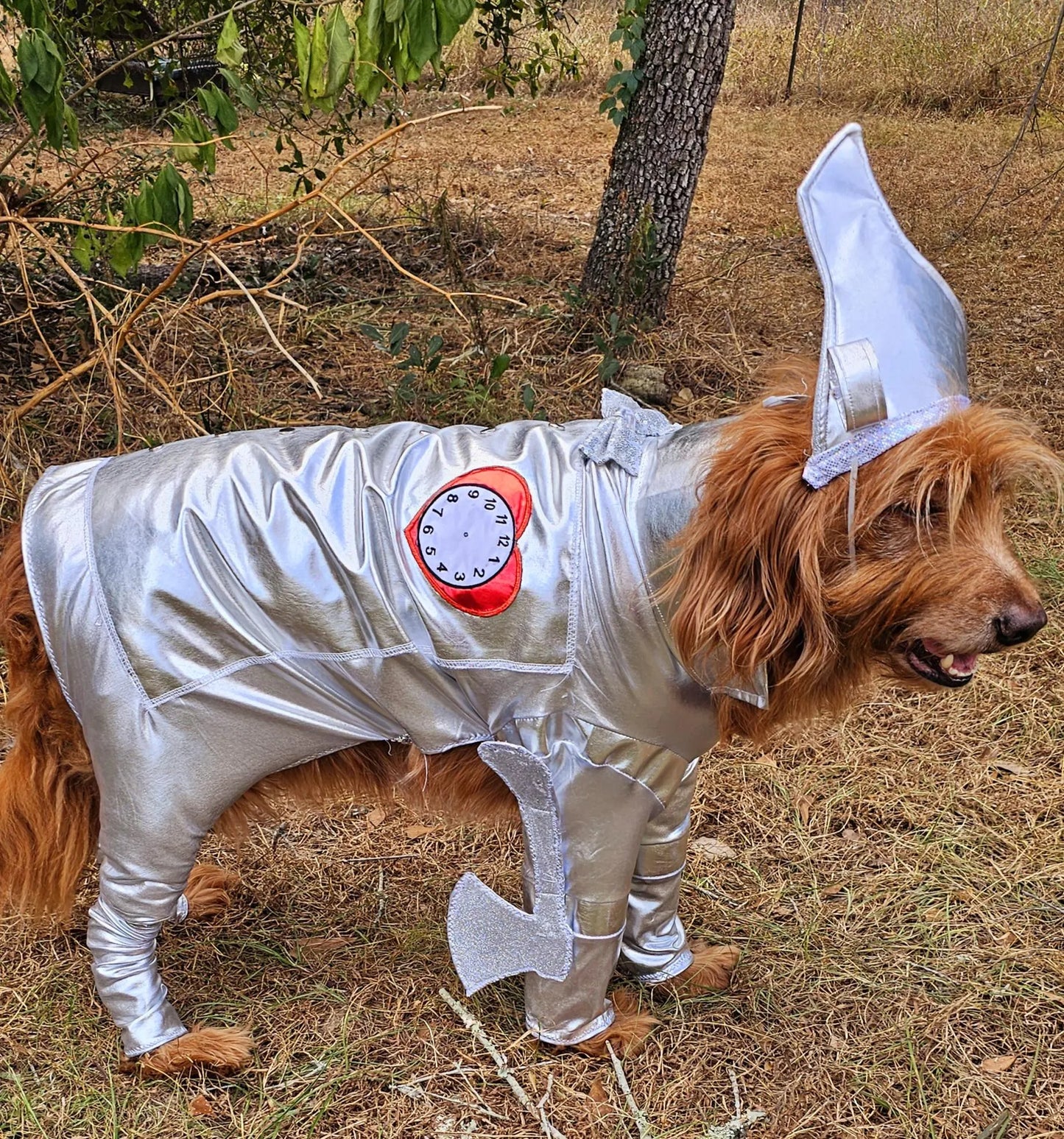 - Tin man pet costume, Tin man dog costume, Tin man cat costume, pet Tin man costume, dog Tin man costume, Tin Man costume for dogs