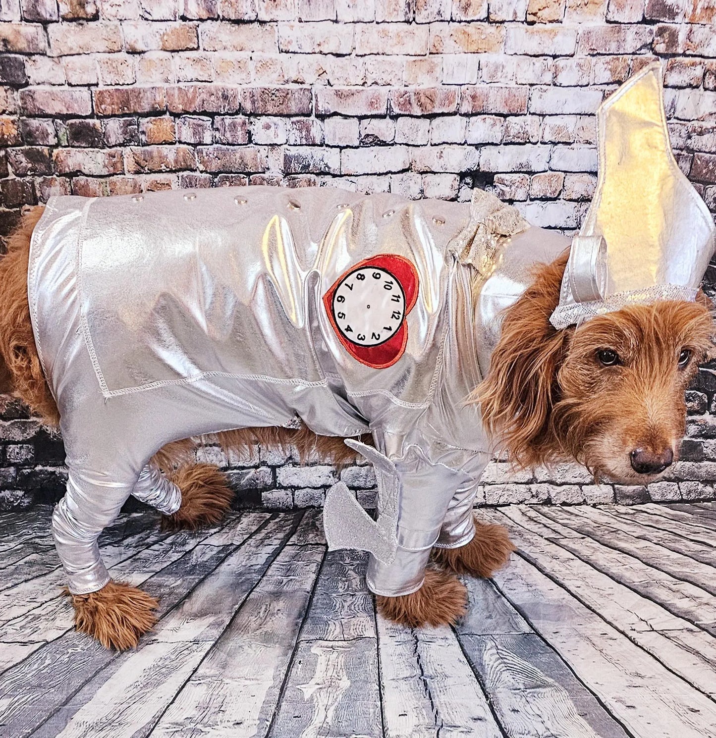- Tin man pet costume, Tin man dog costume, Tin man cat costume, pet Tin man costume, dog Tin man costume, Tin Man costume for dogs
