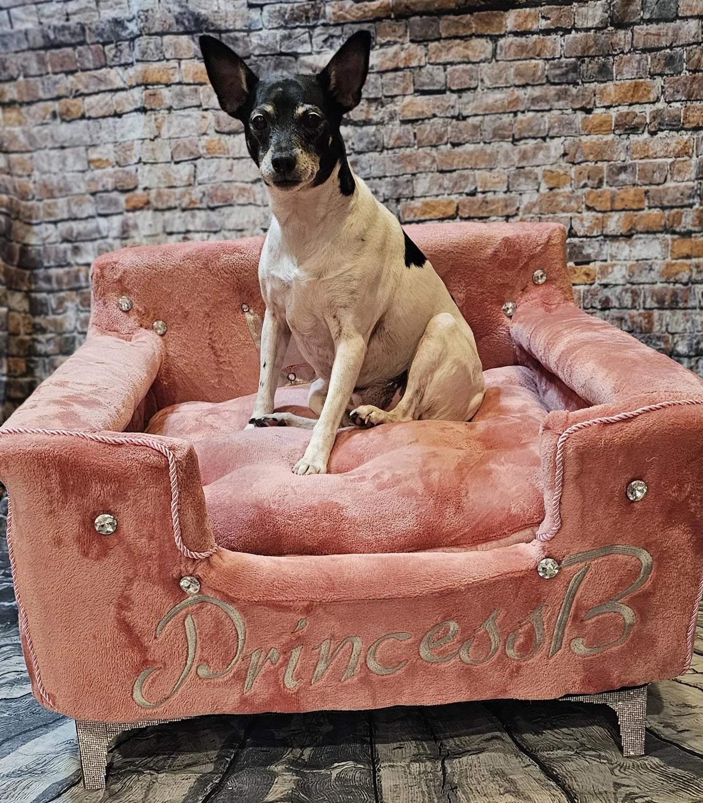 Princess Pet Bed, Princess Cat Bed, Princess dog bed, crown pet bed, crown cat bed, prince bed, Luxury Princess pet bed, pink pet bed