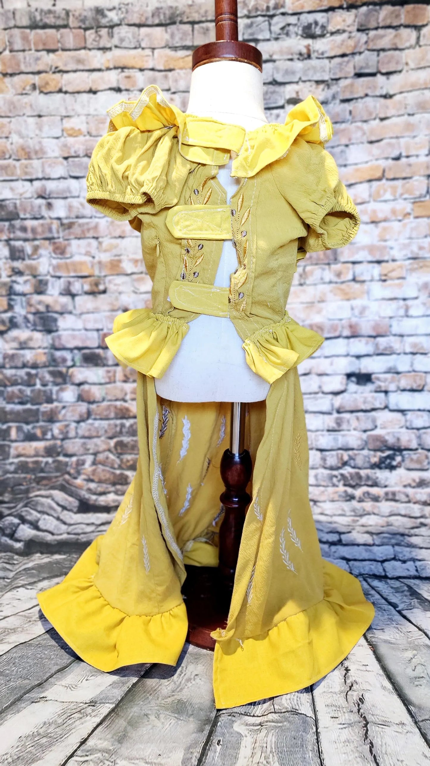 Evermore pet dress, Evermore pet costume, evermore pet dress, evermore dog dress, evermore cat dress, evermore era pet costume, Taylor pet