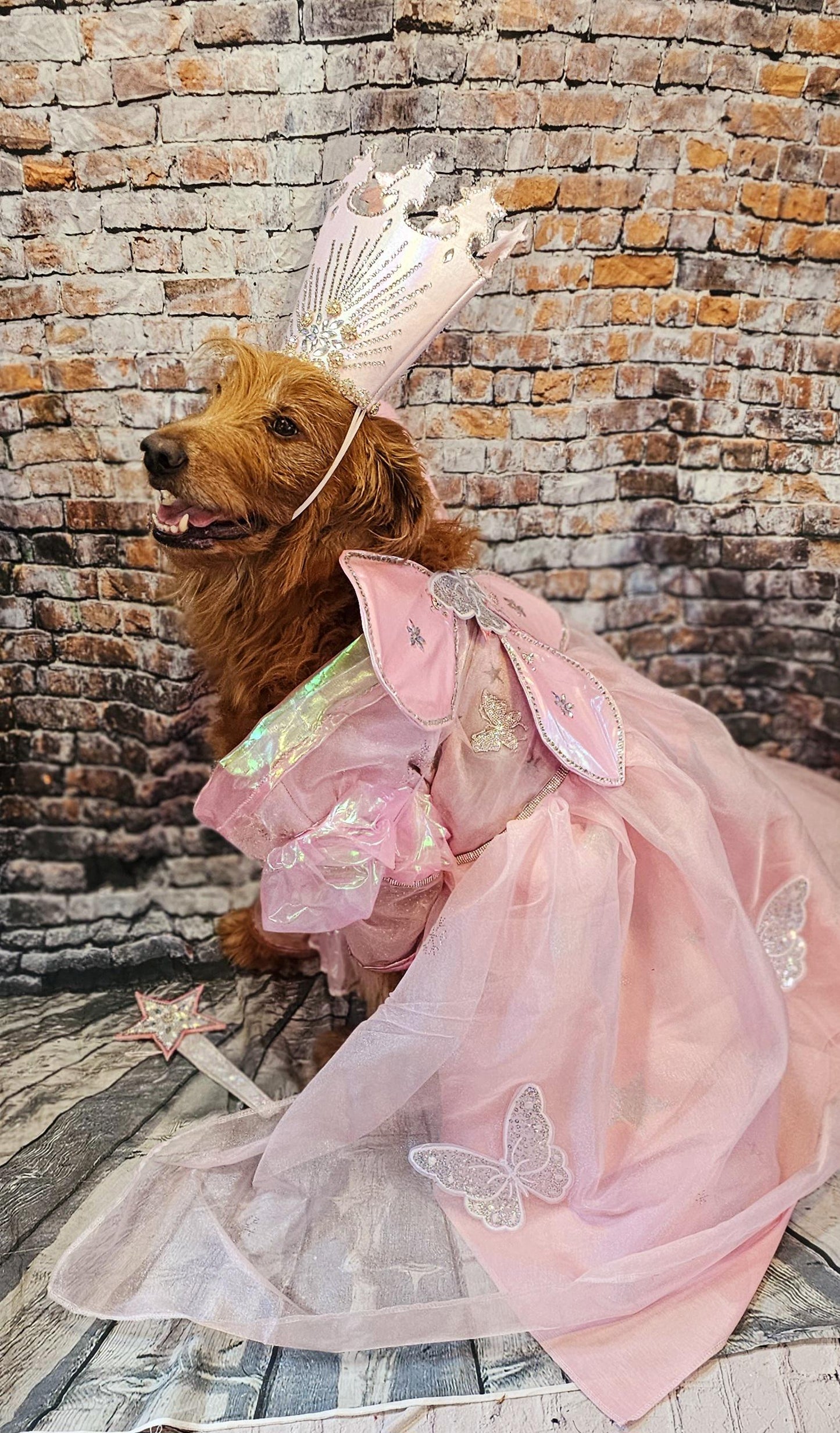- Glinda the Good Witch pet costume, Galinda good witch dog costume, Glinda good witch cat costume, glinda witch pet costume, good witch pet