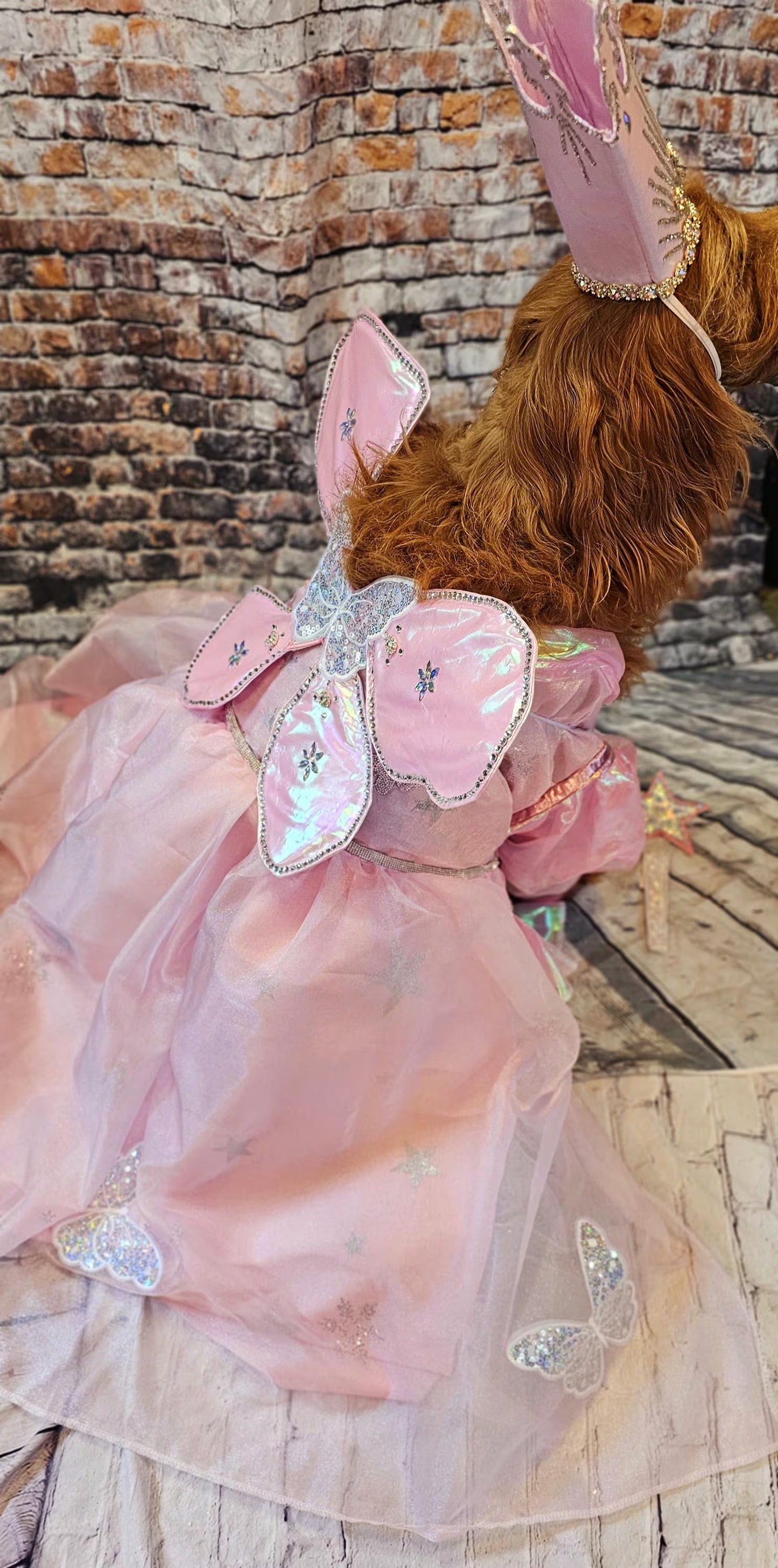 - Glinda the Good Witch pet costume, Galinda good witch dog costume, Glinda good witch cat costume, glinda witch pet costume, good witch pet