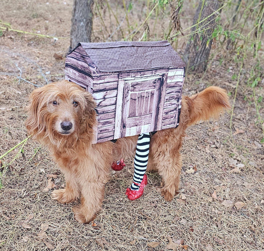 -  A Wicked Witch of the East pet costume, wicked witch East dog costume, wicked witch East cat costume, house pet costume, house dog costume