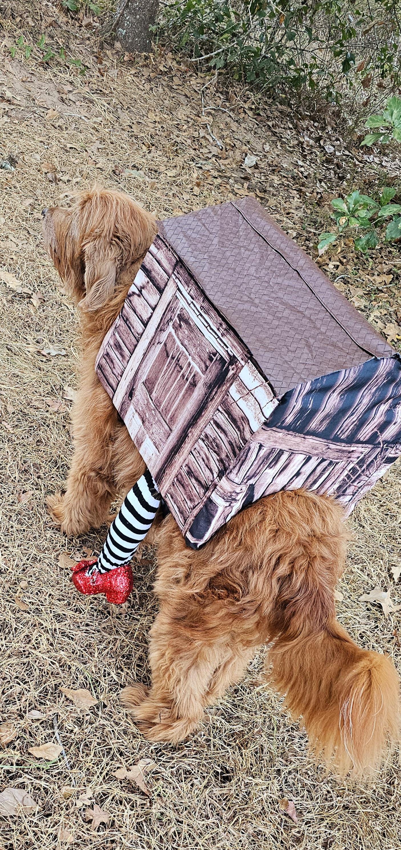-  A Wicked Witch of the East pet costume, wicked witch East dog costume, wicked witch East cat costume, house pet costume, house dog costume