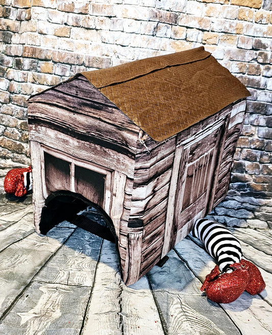 -  A Wicked Witch of the East pet costume, wicked witch East dog costume, wicked witch East cat costume, house pet costume, house dog costume