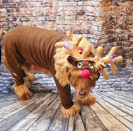 Reindeer pet costume, Reindeer dog costume, Rudolph pet costume, Rudolph dog costume, Deer pet costume, Reindeer cat costume, deer dog