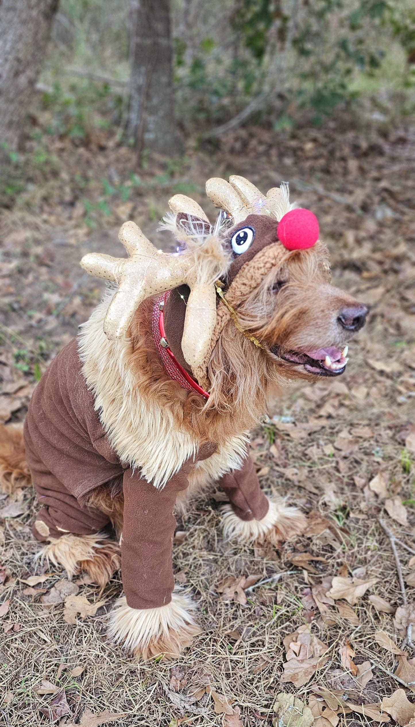 Reindeer pet costume, Reindeer dog costume, Rudolph pet costume, Rudolph dog costume, Deer pet costume, Reindeer cat costume, deer dog
