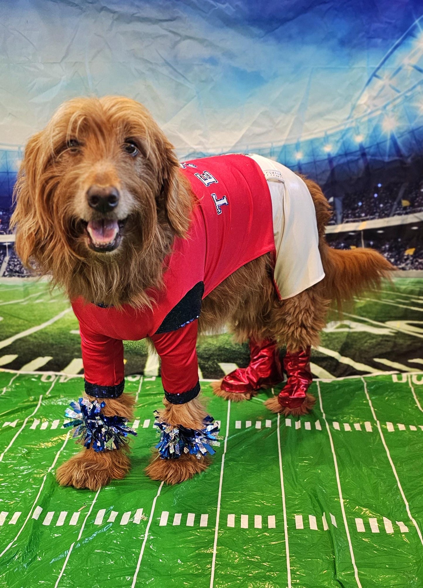 Houston Texans pet cheerleader costume, Texans dog cheerleader, Texans cat cheerleader