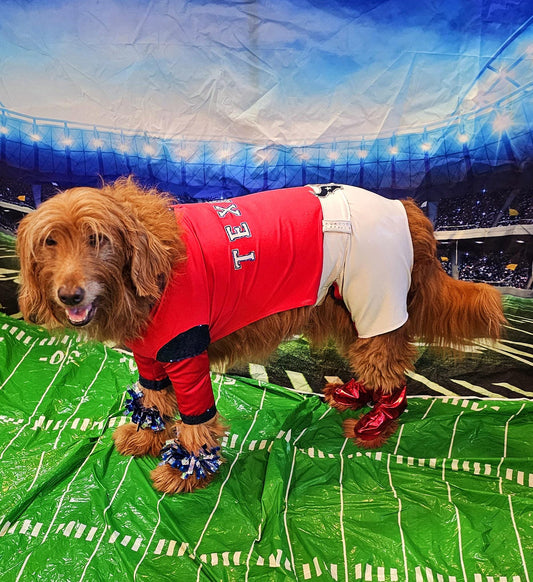 Houston Texans pet cheerleader costume, Texans dog cheerleader, Texans cat cheerleader