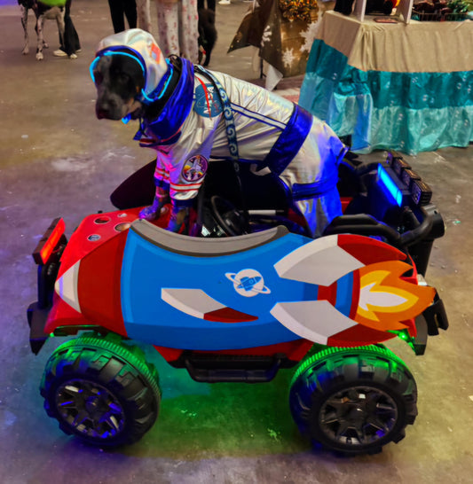 Astronaut Pet Costume, astronaut lightup dog costume, astronaut cat costume, pet astronaut costume, space pet costume, light up astronaut dog