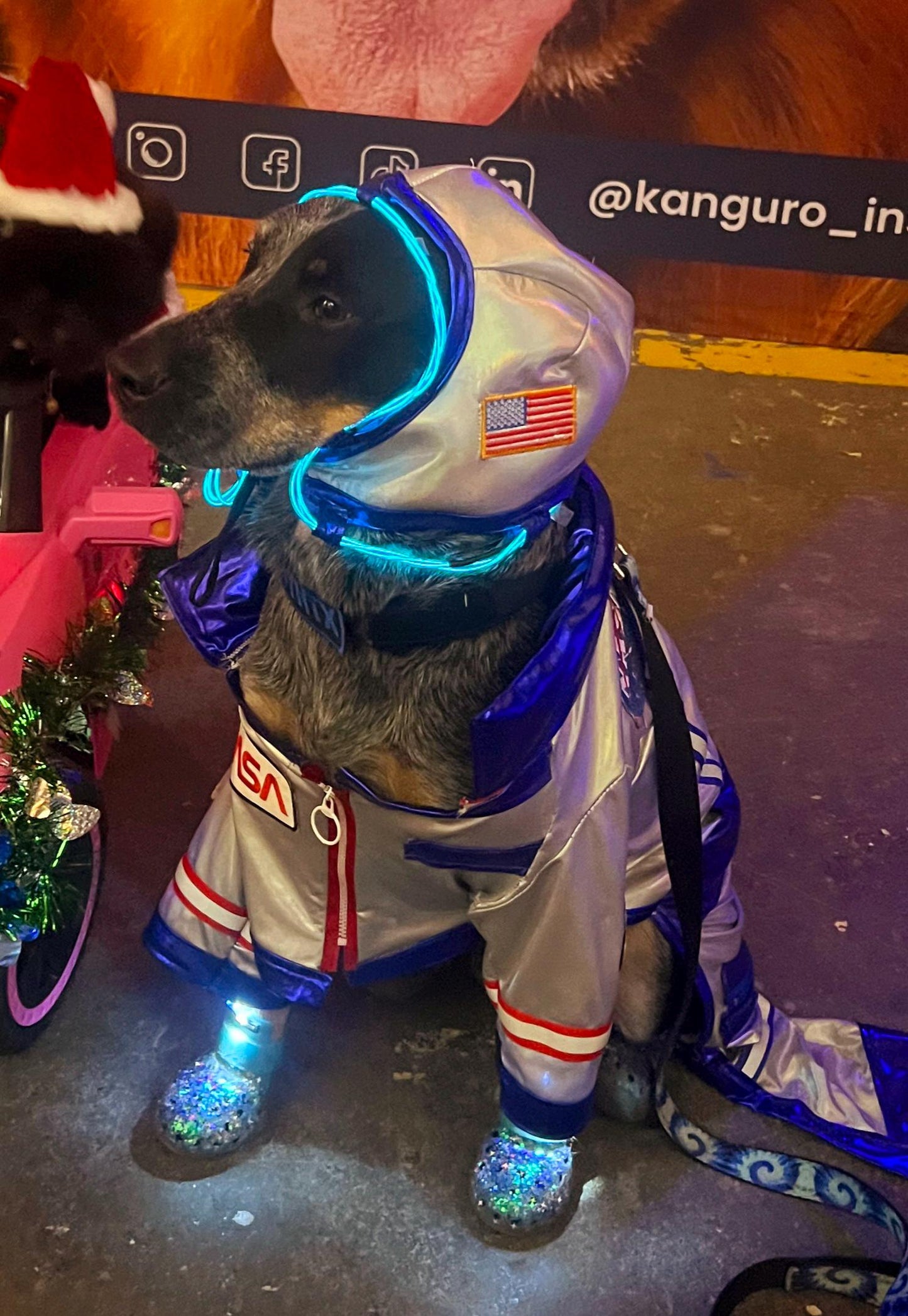 Astronaut Pet Costume, astronaut lightup dog costume, astronaut cat costume, pet astronaut costume, space pet costume, light up astronaut dog