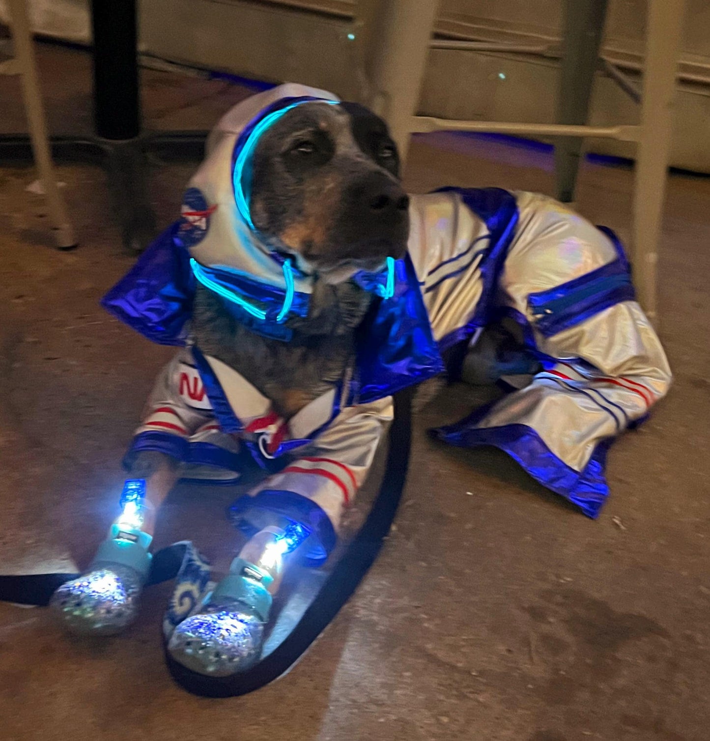 Astronaut Pet Costume, astronaut lightup dog costume, astronaut cat costume, pet astronaut costume, space pet costume, light up astronaut dog
