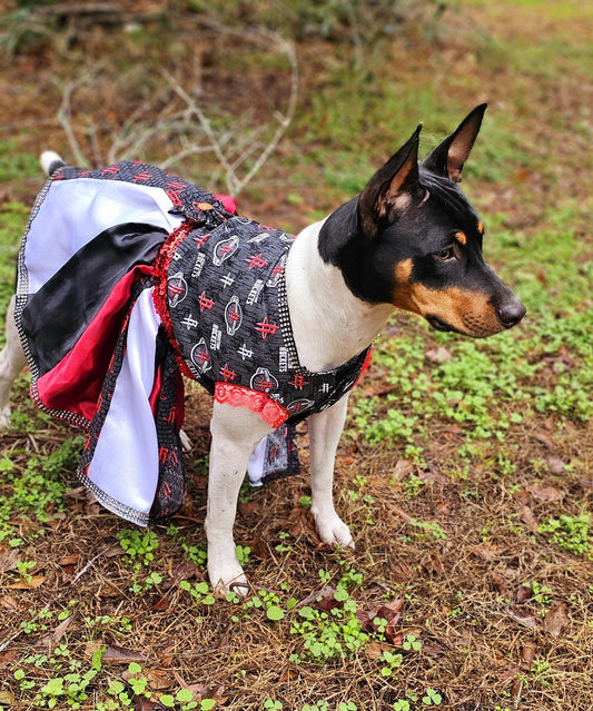 Houston Rockets pet dress, Houston rockets dog dress, Houston rockets cat dress, Rockets basketball pet dress, rockets pet clothes