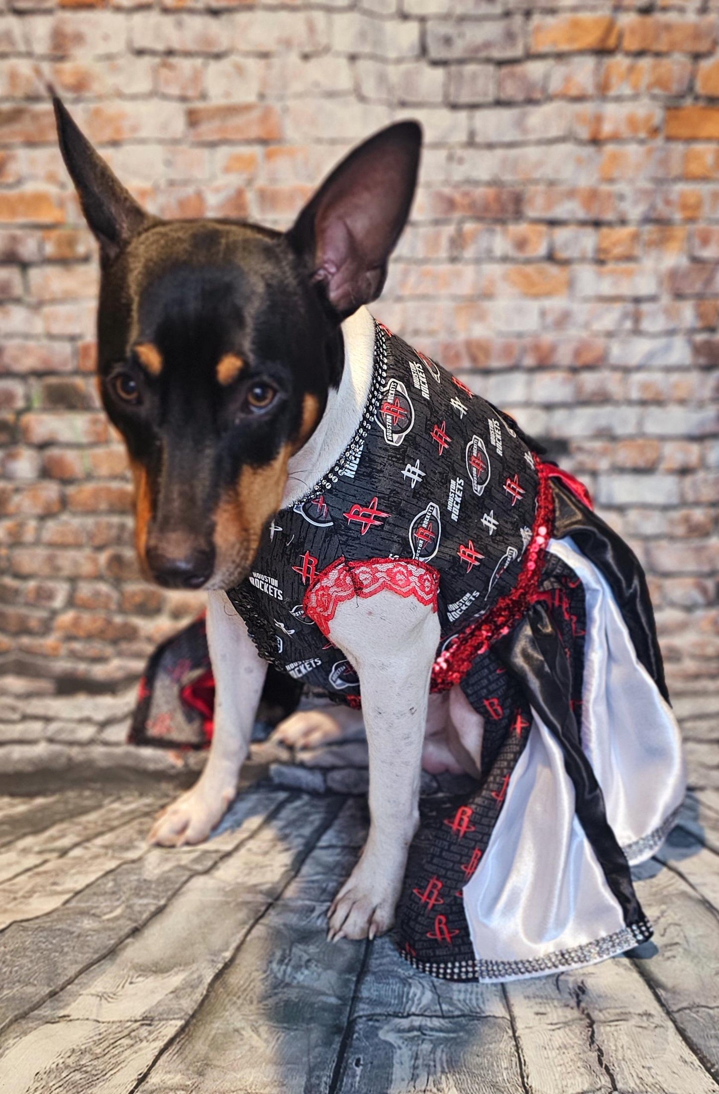 Houston Rockets pet dress, Houston rockets dog dress, Houston rockets cat dress, Rockets basketball pet dress, rockets pet clothes