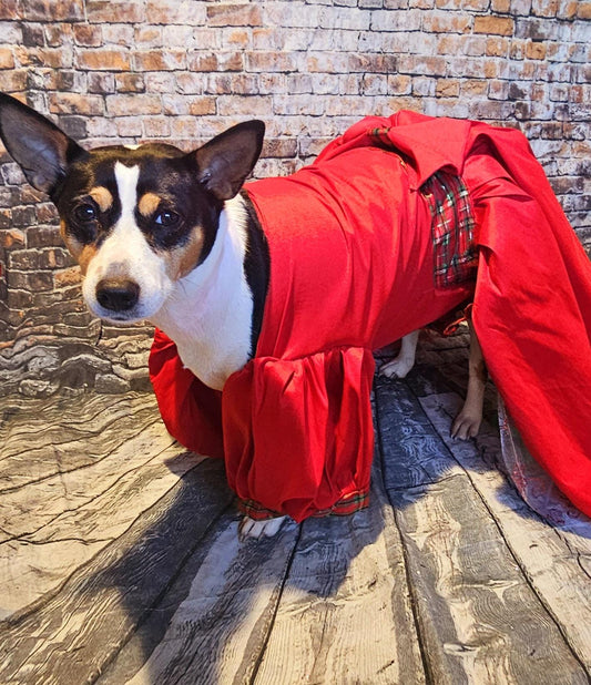 Tartan plaid pet christmas dress, red pet christmas dress, tartan dog christmas dress, holiday pet dress, taffeta pet dress, christmas dog
