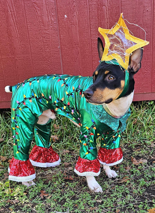 - Light up tree pet costume, Christmas tree pet costume, tree pet costume, light up tree pet costume, Christmas tree dog costume, light up Christmas tree cat costume