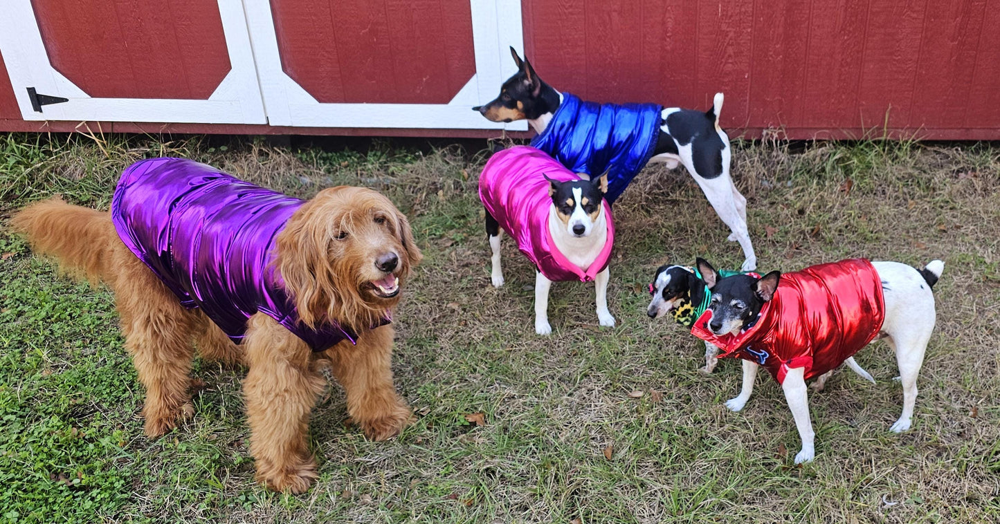 Pet puffer jacket, puffer dog jacket, metallic pet jacket, Houston texan dog jacket, pet puffer jacket, winter pet jacket, jackets for dogs