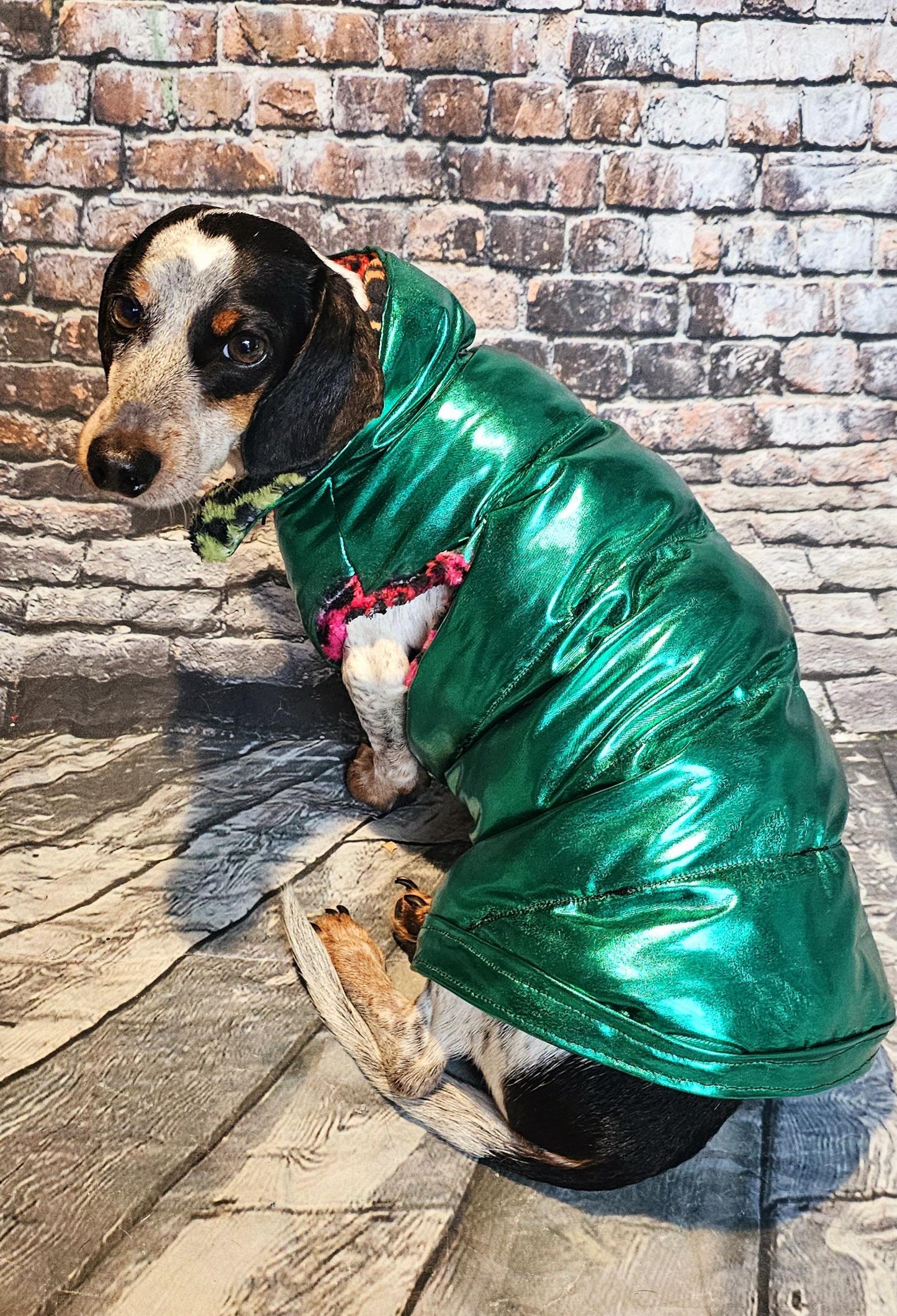 Pet puffer jacket, puffer dog jacket, metallic pet jacket, Houston texan dog jacket, pet puffer jacket, winter pet jacket, jackets for dogs