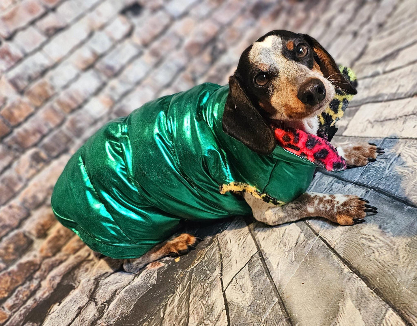 Pet puffer jacket, puffer dog jacket, metallic pet jacket, Houston texan dog jacket, pet puffer jacket, winter pet jacket, jackets for dogs