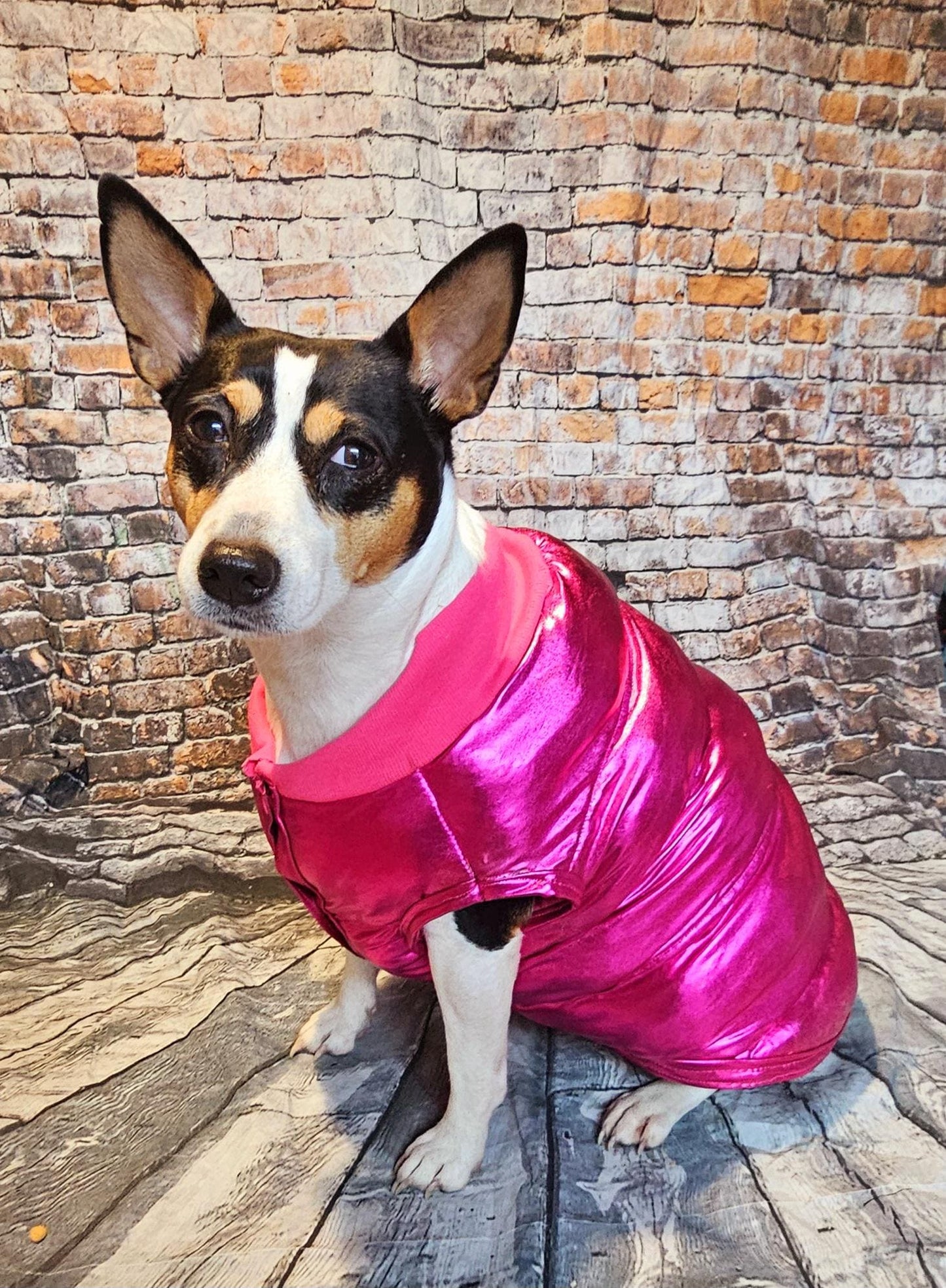 Pet puffer jacket, puffer dog jacket, metallic pet jacket, Houston texan dog jacket, pet puffer jacket, winter pet jacket, jackets for dogs