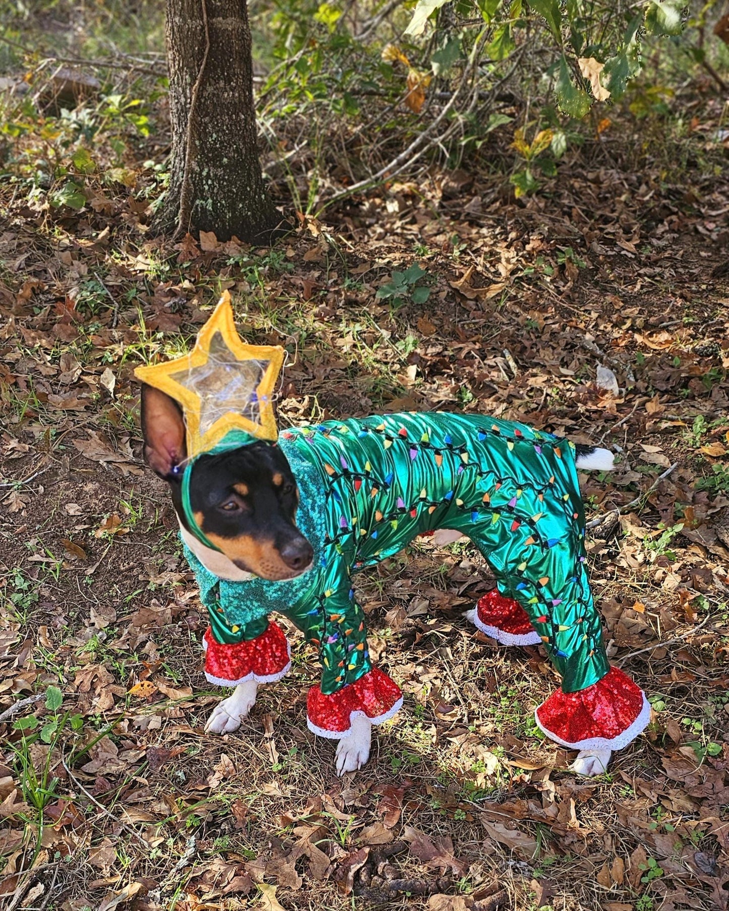 - Light up tree pet costume, Christmas tree pet costume, tree pet costume, light up tree pet costume, Christmas tree dog costume, light up Christmas tree cat costume