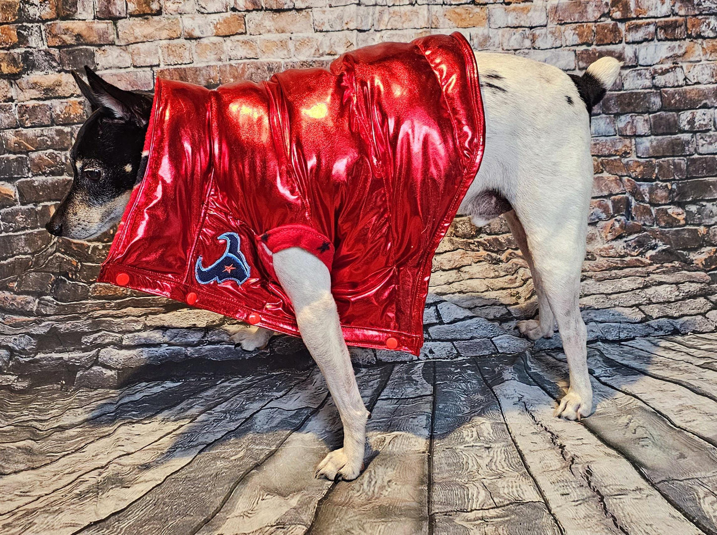 Houston Texans pet puffer jacket, puffer dog jacket, metallic pet jacket, Houston texan dog jacket, pet puffer jacket, Texans Pet clothes