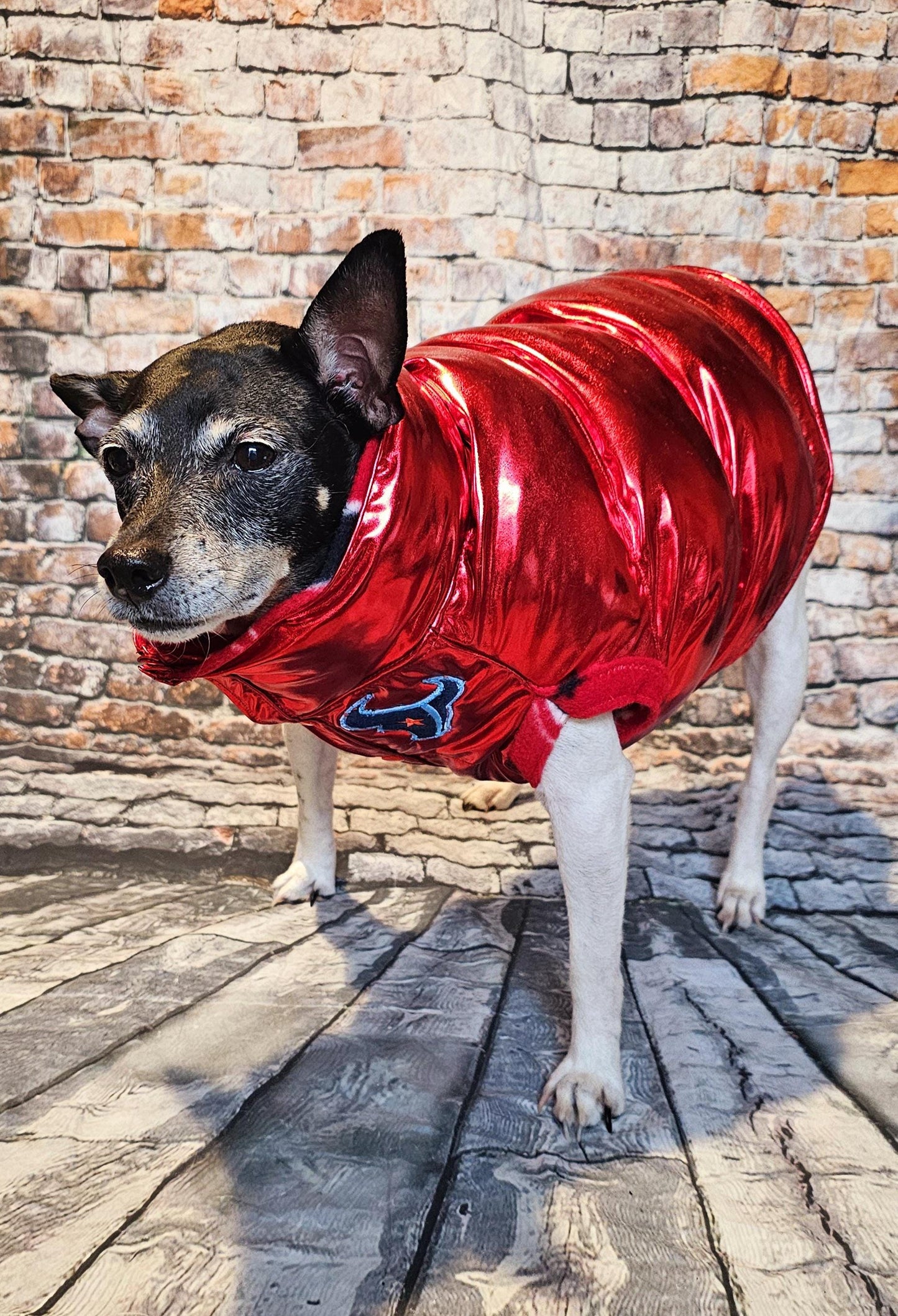 Houston Texans pet puffer jacket, puffer dog jacket, metallic pet jacket, Houston texan dog jacket, pet puffer jacket, Texans Pet clothes
