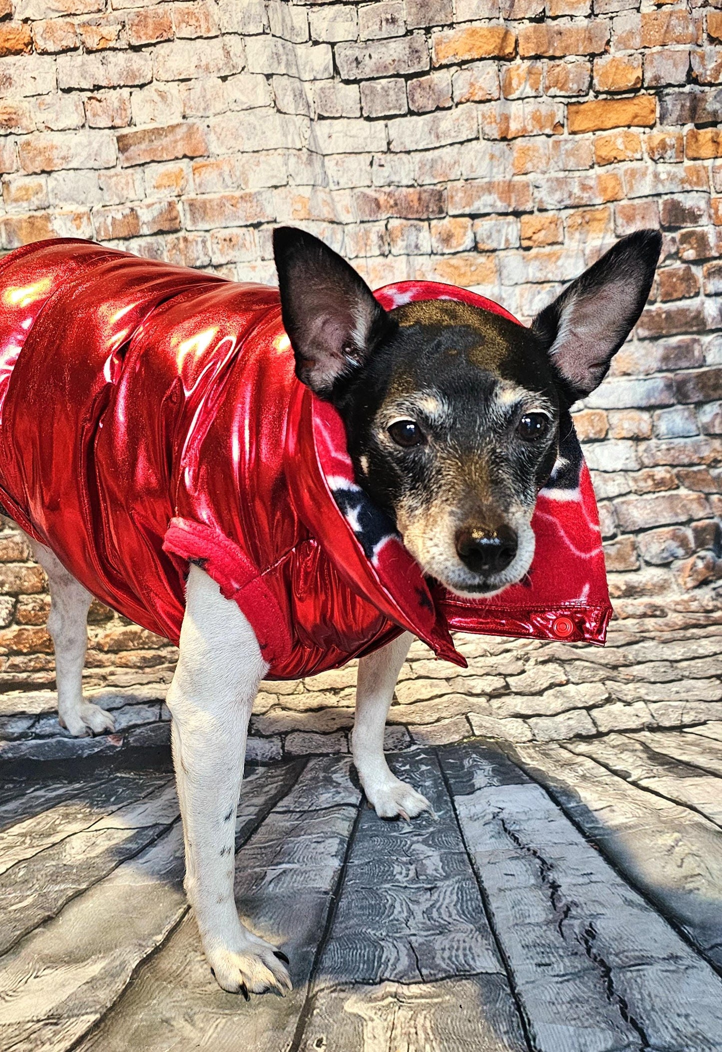 Houston Texans pet puffer jacket, puffer dog jacket, metallic pet jacket, Houston texan dog jacket, pet puffer jacket, Texans Pet clothes