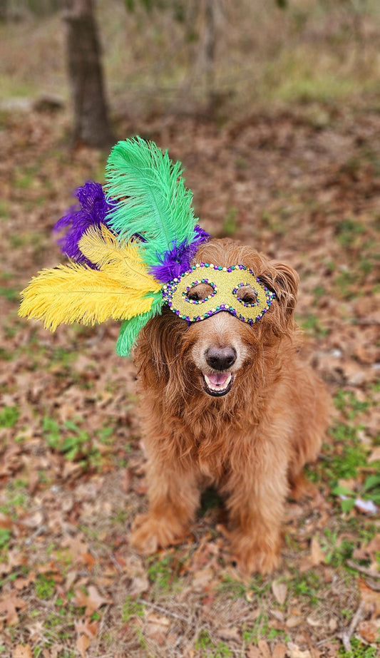 Mardi Gras Pet Masks, Mardi Gras Dog Mask, Fat Tuesday Dog Mask, Fat Tuesday Pet Mask, Mardi Gras Cat Mask, Pet Costume Mask, Dog Mask Inactive