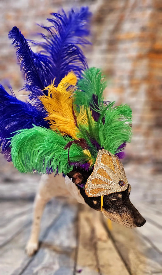 Mardi Gras Pet showgirl headdress, mardi gras pet headdress, carnival pet headdress, mardi gras pet feather headpiece mardi gras dog
