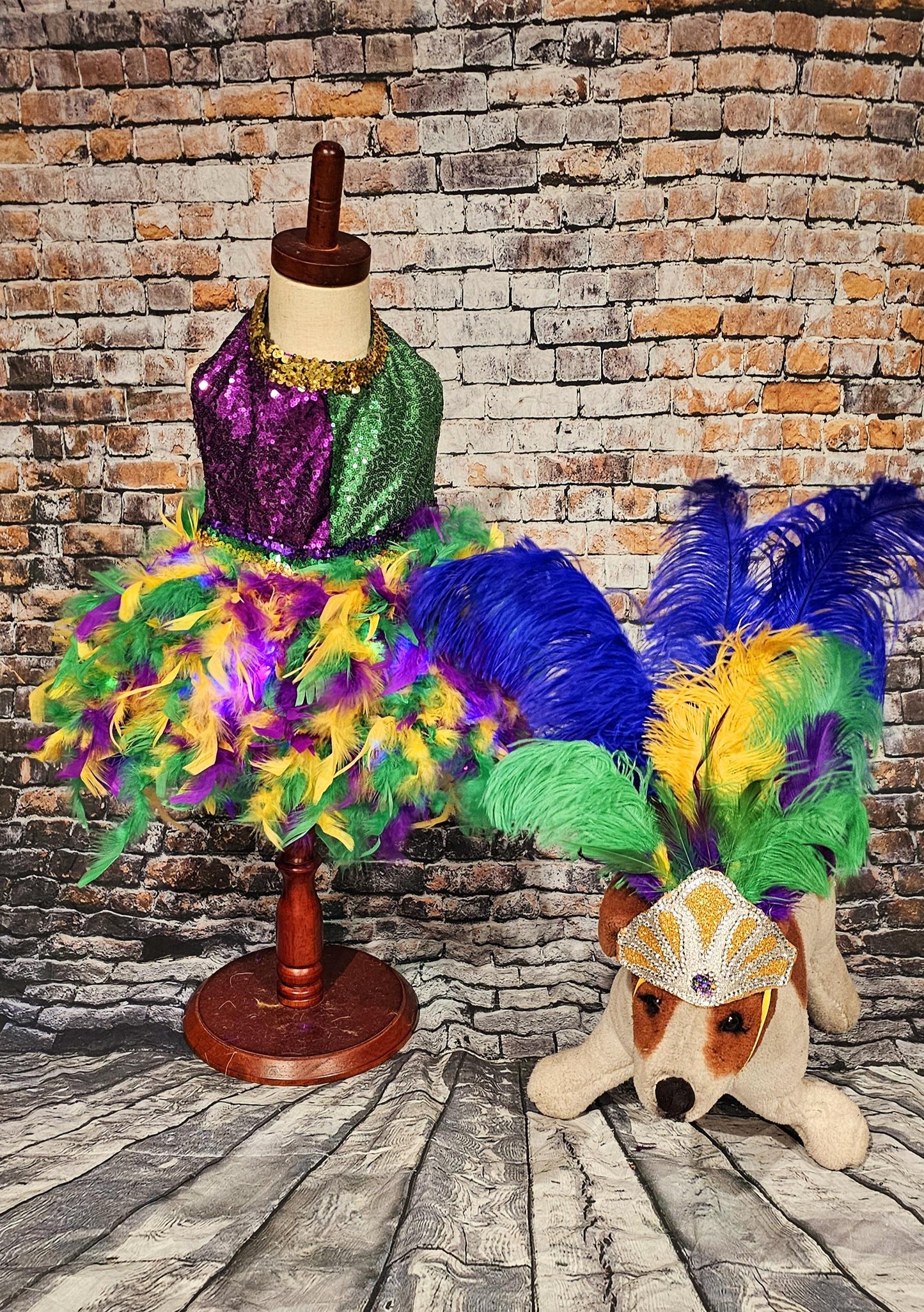 - Mardi Gras light up pet dress, mardi gras pet costume, mardi gras dog costume, fat tuesday pet costume, carnival pet costume, mardi gras cat