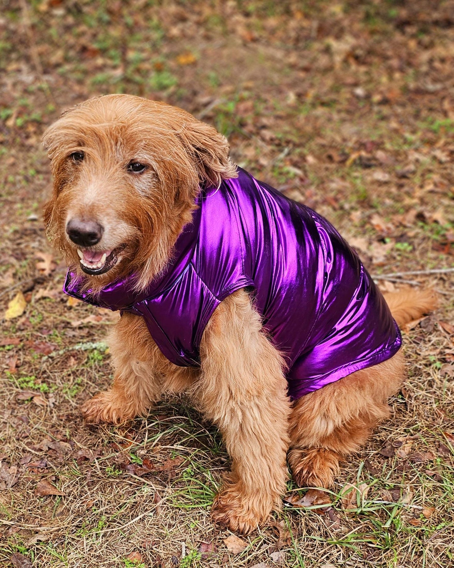 Pet puffer jacket, puffer dog jacket, metallic pet jacket, Houston texan dog jacket, pet puffer jacket, winter pet jacket, jackets for dogs