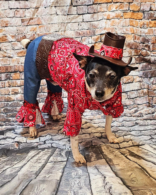 - Western cowboy pet costume,Western cowboy dog costume, westen cat costume