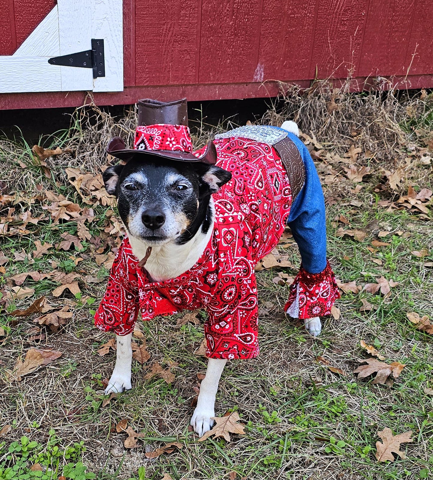 - Western cowboy pet costume,Western cowboy dog costume, westen cat costume