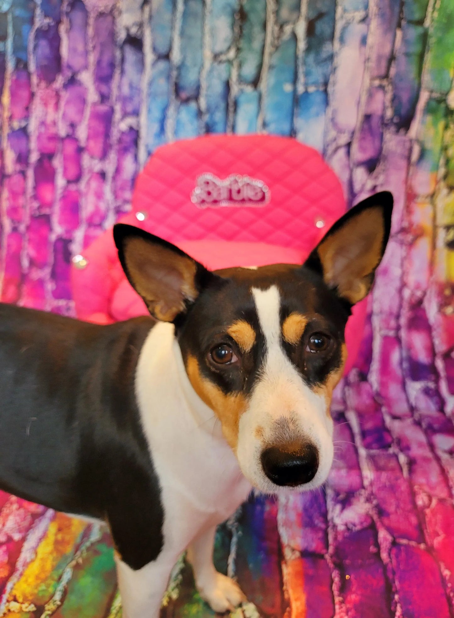 Pink Barbie pet bed, pink dog bed, Hot pink pet bed, luxury pet bed, arclic leg pet bed, leather pet bed, luxury dog bed, personalize dog