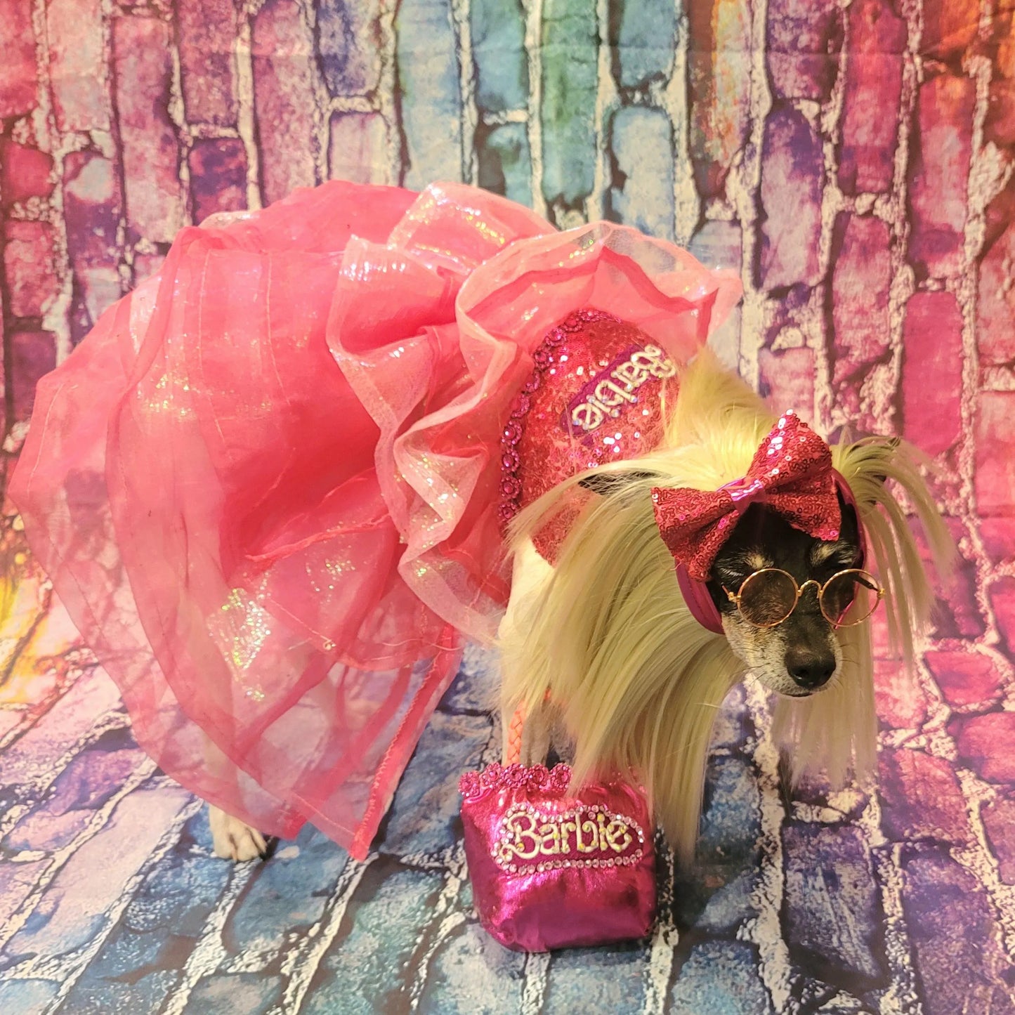 - Pink doll pet costume, Barbie sequin pink pet costume, dog barbie pink pet costume, wig pet costume, replica Barbie pet costume