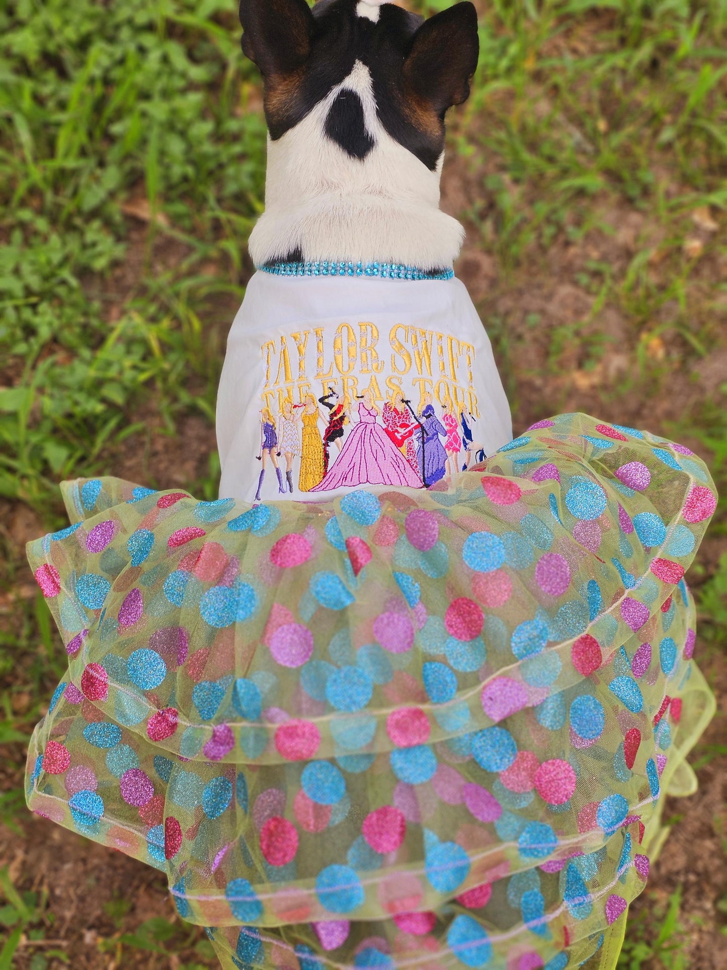 Taylor Era Pet dress, Embroidered Taylor pet dress, Taylor Era dog dress, Taylor Era cat dress, Era's dog dress